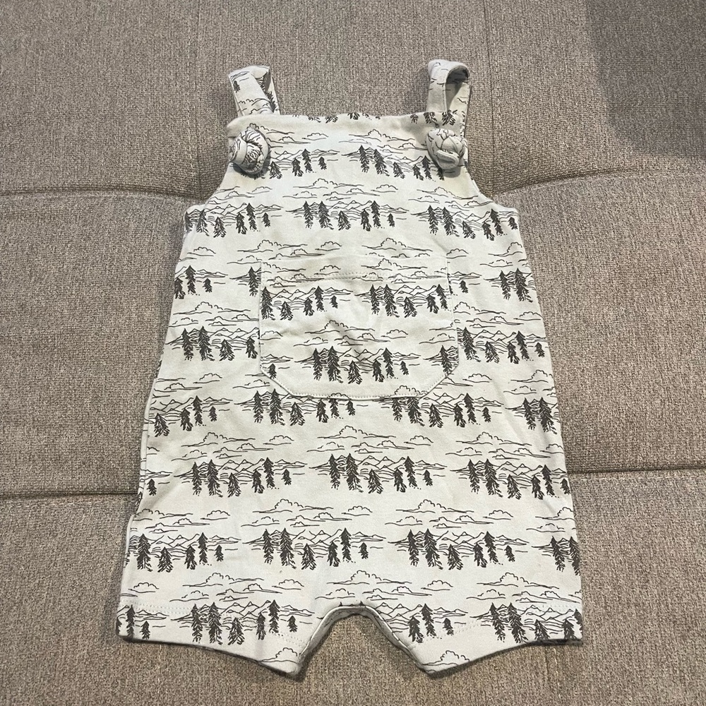 NWOT Kate Quinn Sky gray little mountain Tie pocket overall shortie